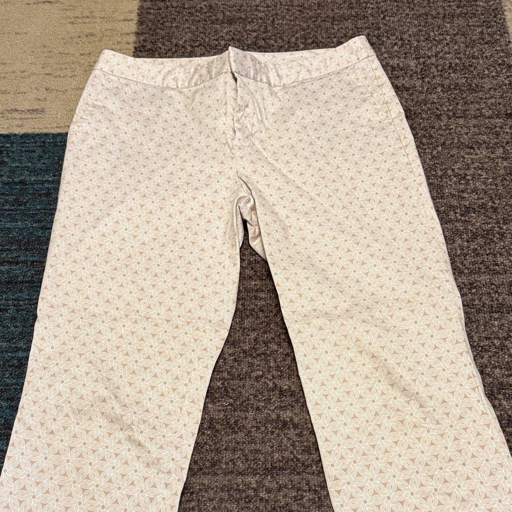 Banana Republic Ryan Fit Women’s Size 10 Ankle pants